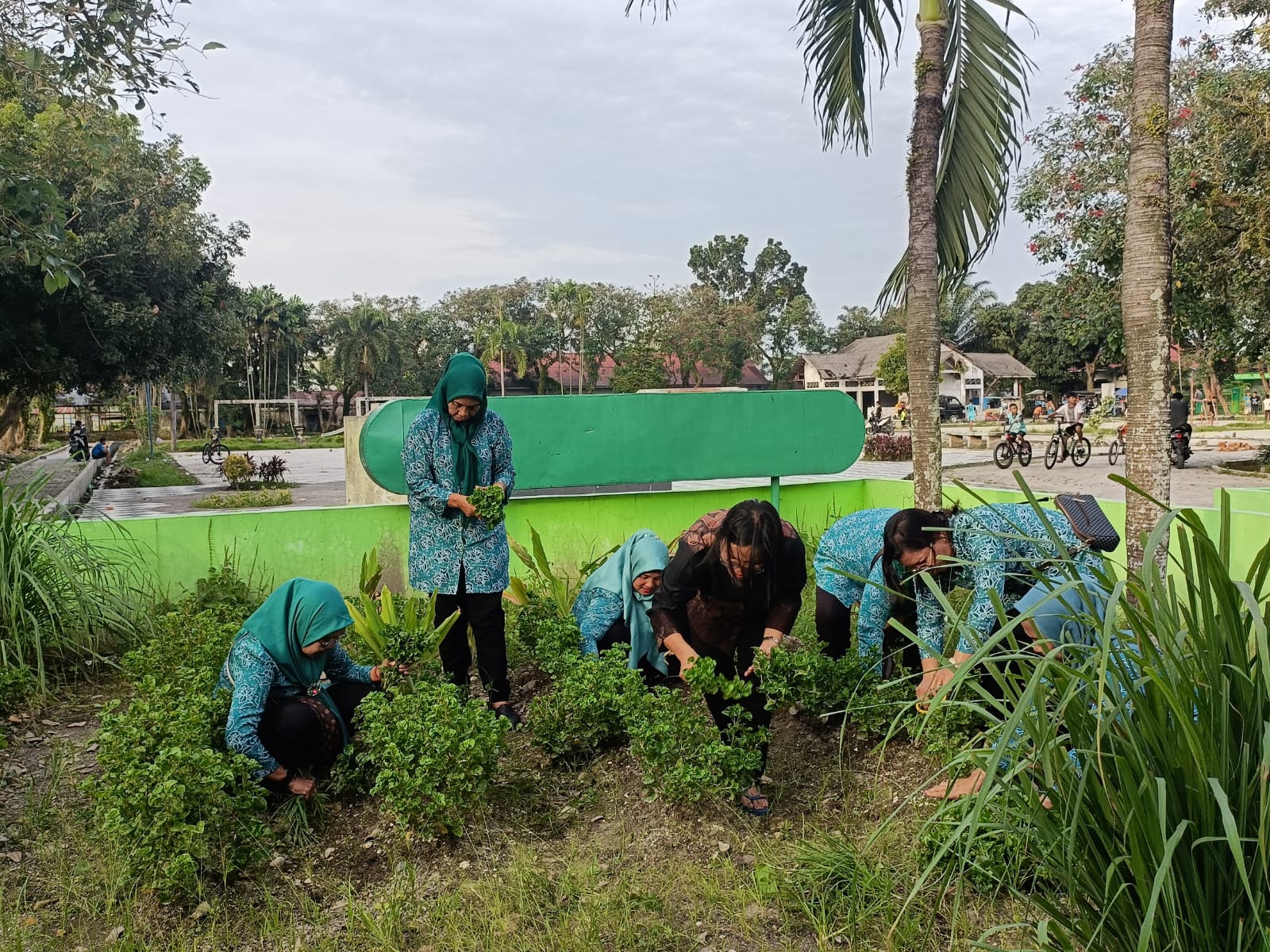 Kegiatan Pemanfaatan Lahan Perkarangan dengan menanam tanaman Sayuran diLahan Perkarangan Kantor Lurah Helvetia Tengah